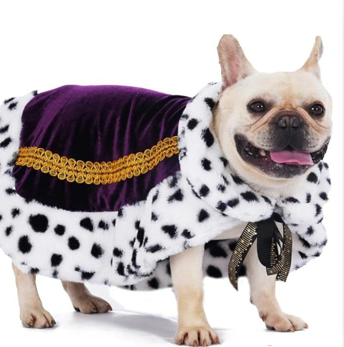 Capa de Rey para Mascotas – Disfraz Halloween