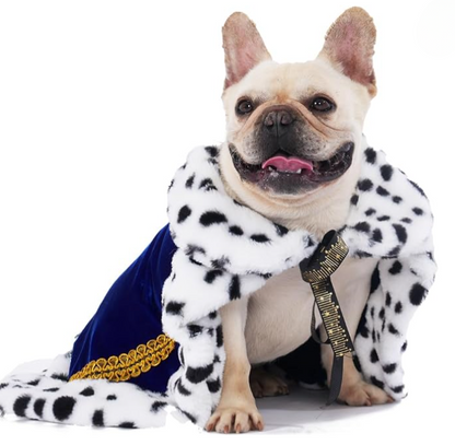 Capa de Rey para Mascotas – Disfraz Halloween