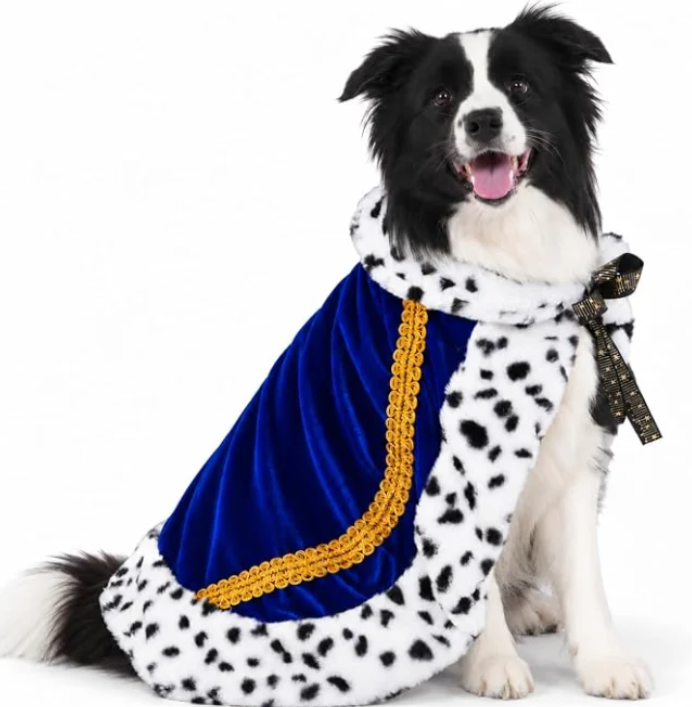Capa de Rey para Mascotas – Disfraz Halloween