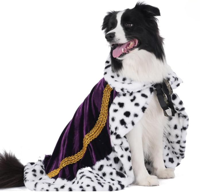 Capa de Rey para Mascotas – Disfraz Halloween