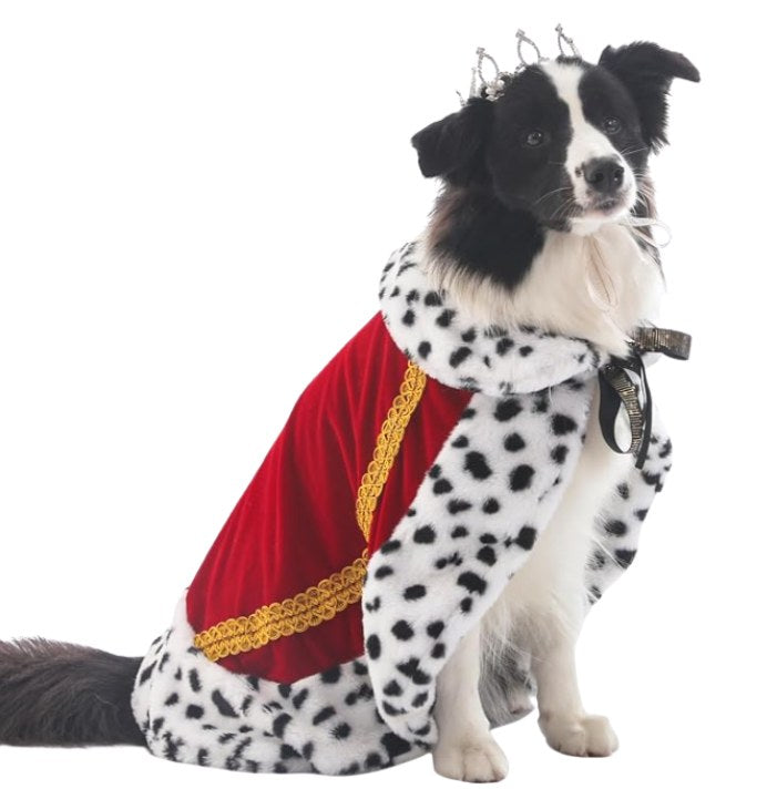 Capa de Rey para Mascotas – Disfraz Halloween